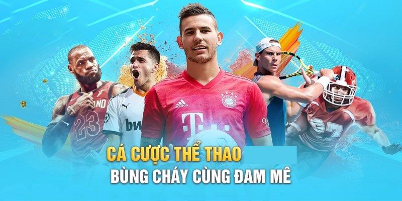 Tính năng hấp dẫn khi tham gia cá cược tại Thể Thao LuLu88